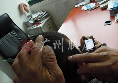 ���ݷ���Ƥ����ҽԺ