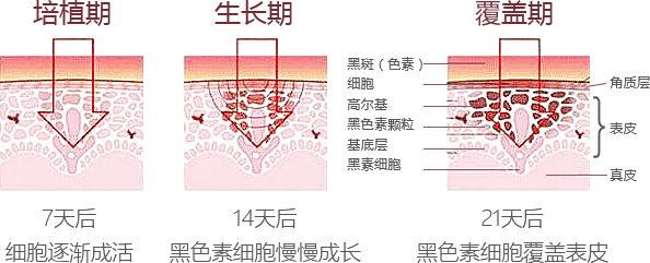 ���ݷ���Ƥ����ҽԺ