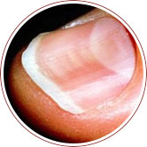 ���ݷ���Ƥ����ҽԺ