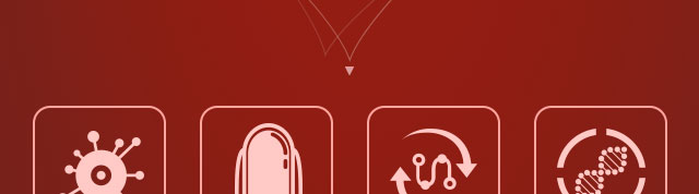 ���ݷ���Ƥ����ҽԺ