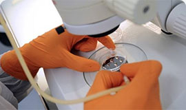 ���ݷ���Ƥ����ҽԺ