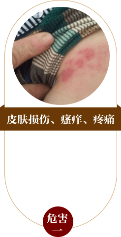 ���ݷ���Ƥ����ҽԺ