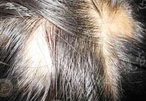 ���ݷ���Ƥ����ҽԺ