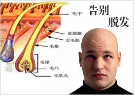 ���ݷ���Ƥ����ҽԺ