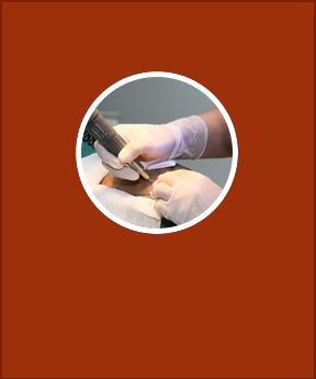 ���ݷ���Ƥ����ҽԺ