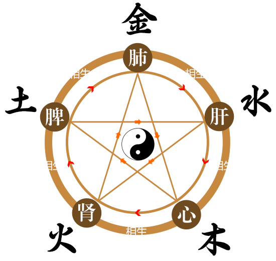 ���ݷ���Ƥ����ҽԺ