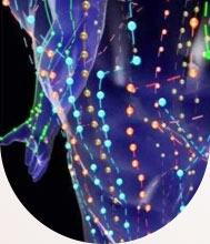 ���ݷ���Ƥ����ҽԺ