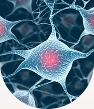 ���ݷ���Ƥ����ҽԺ